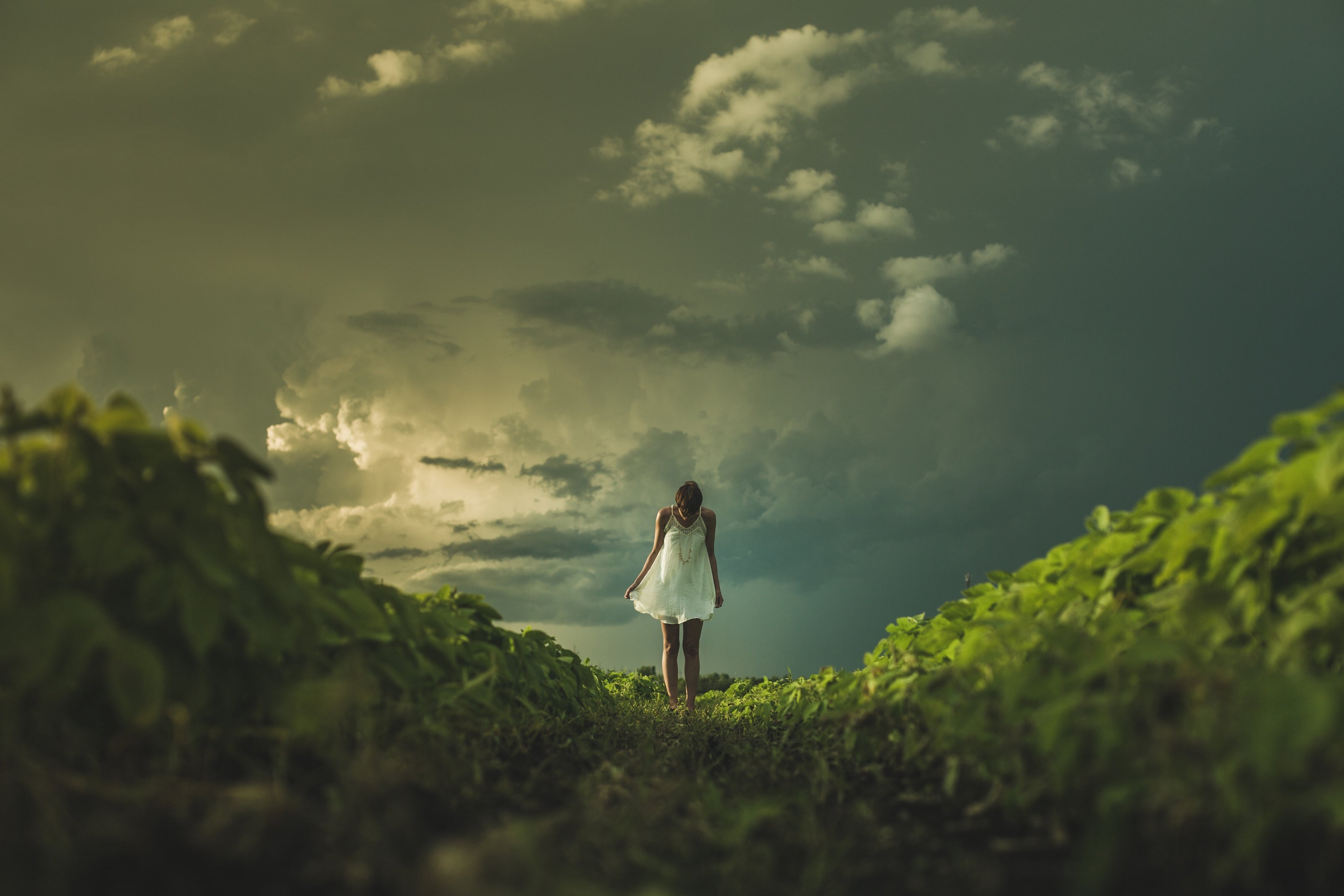 A woman enjoying the sunset